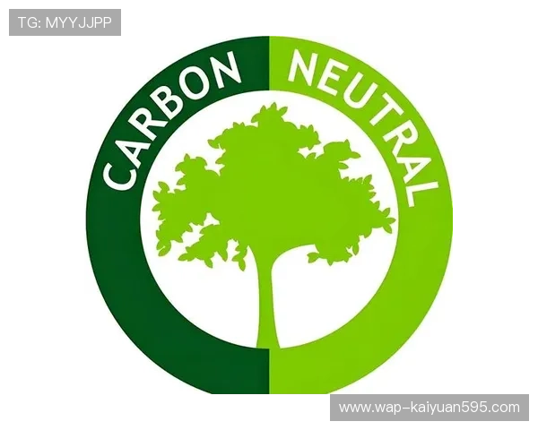 新时代娱乐场绿色环保理念贯穿始终，采用节能环保材料，倡导绿色健康娱乐生活方式